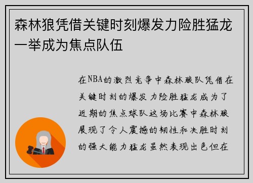 森林狼凭借关键时刻爆发力险胜猛龙一举成为焦点队伍