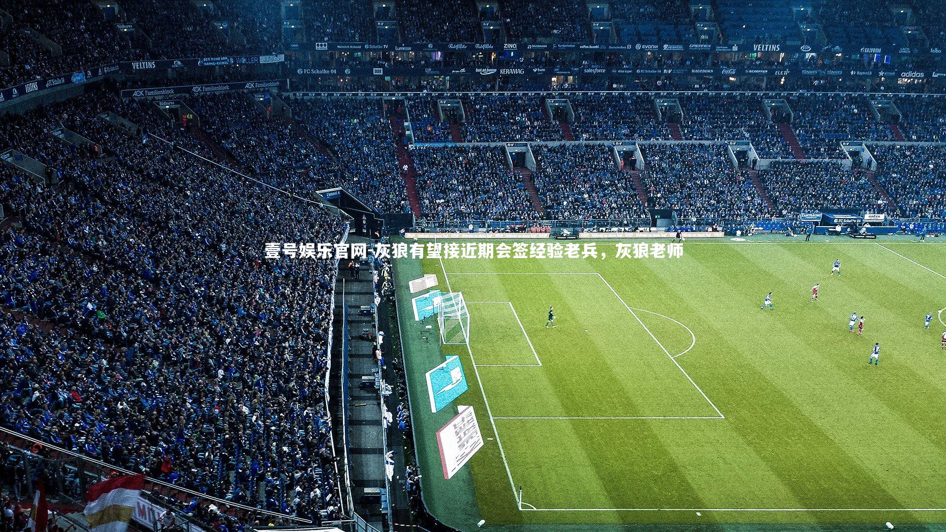 灰狼有望接近期会签经验老兵，灰狼老师