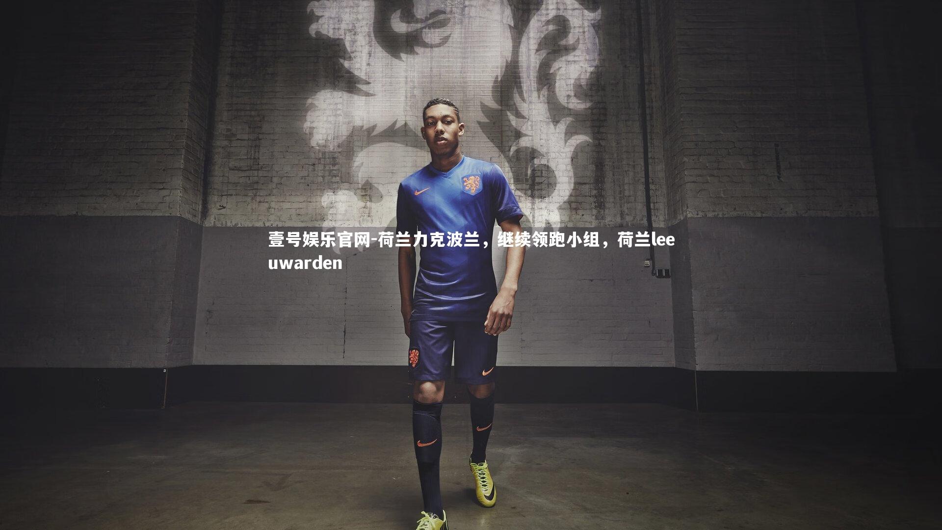 壹号娱乐官网-荷兰力克波兰，继续领跑小组，荷兰leeuwarden